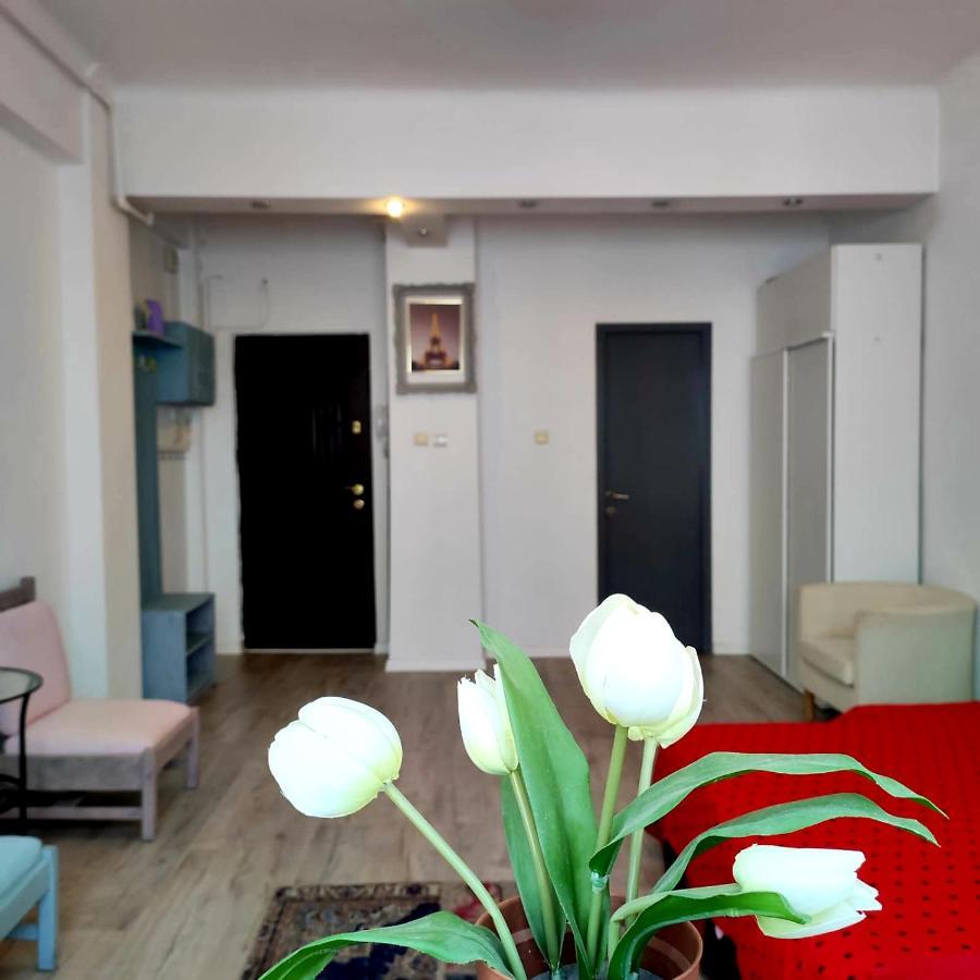 Garsoniera Centrul Bucurestiului Apartment Ngoại thất bức ảnh