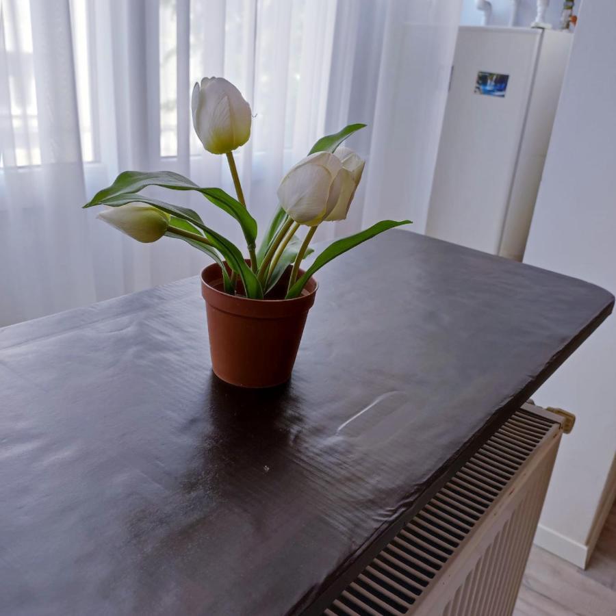 Garsoniera Centrul Bucurestiului Apartment Ngoại thất bức ảnh